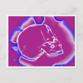 頭蓋電気 ポストカード (正面)