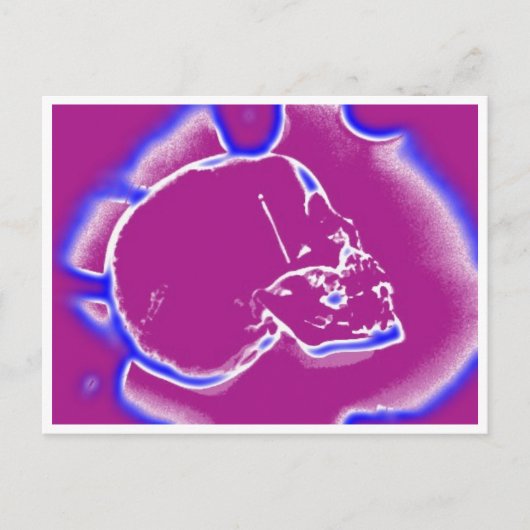 頭蓋電気 ポストカード (正面)