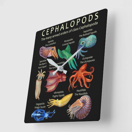 頭足類のタコイカ スクエア壁時計 (傾斜)