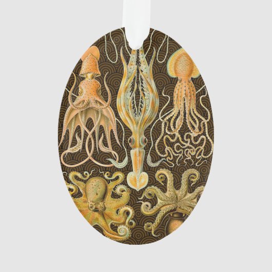 頭足類タコイカ海自然 オーナメント (裏面)