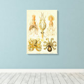 頭足類タコイカ海自然 キャンバスプリント (インサイチュ (ウッドフロア))