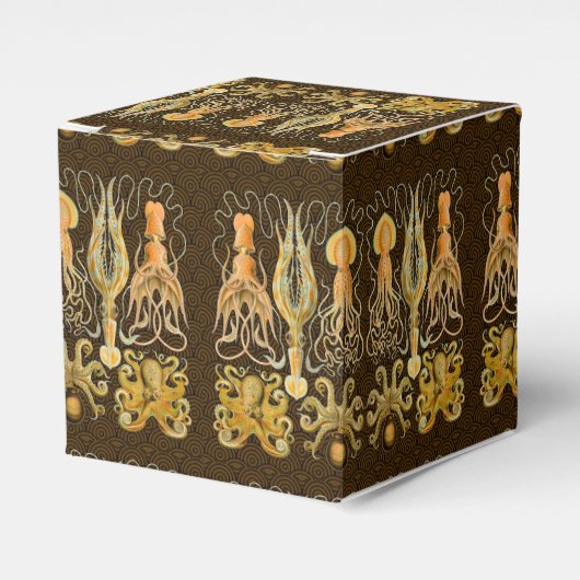 頭足類タコイカ海自然 フェイバーボックス (正面サイド)