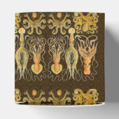 頭足類タコイカ海自然 フェイバーボックス (上部)