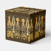 頭足類タコイカ海自然 フェイバーボックス (裏面サイド)