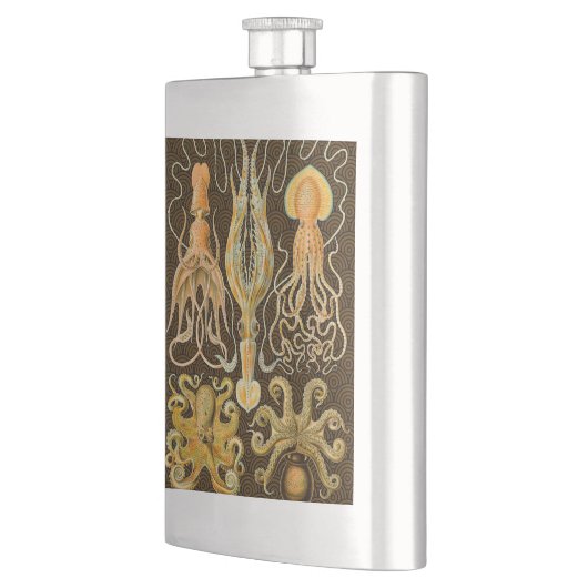 頭足類タコイカ海自然 フラスク (左)