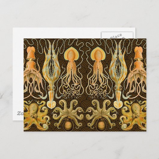 頭足類タコイカ海自然 ポストカード (正面/裏面)