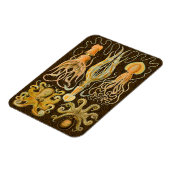 頭足類タコイカ海自然 マグネット (左側)