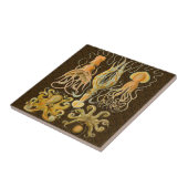 頭足類 タコ イカ 海洋 自然 タイル (側面)