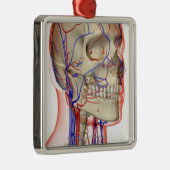 頭部および首の動脈そして静脈 メタルオーナメント (右)