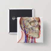 頭部および首の動脈そして静脈 缶バッジ (正面&裏面)