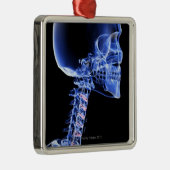 頭部および首の骨 メタルオーナメント (右)