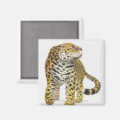 頭部がプロファイルされたジャガーのイラストレーション マグネット (正面/裏面)