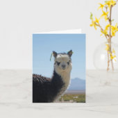 頭部の上のアルパカのラマの白黒終わり カード (黄色い花)