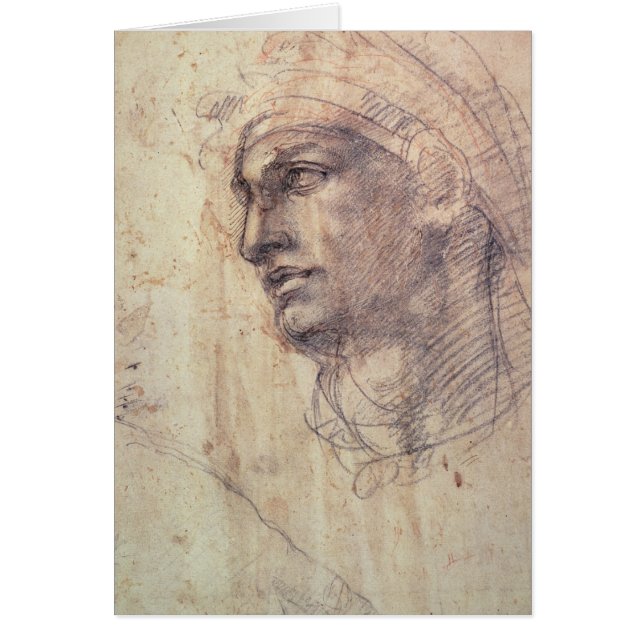 頭部の勉強 (正面)