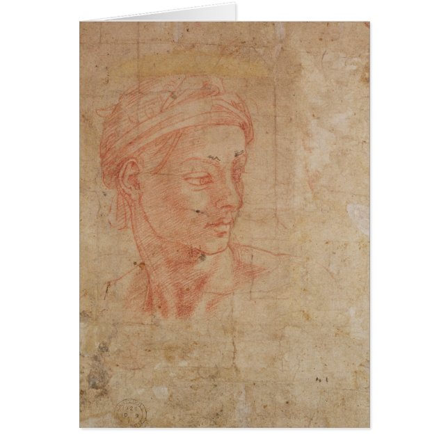 頭部の勉強 (正面)