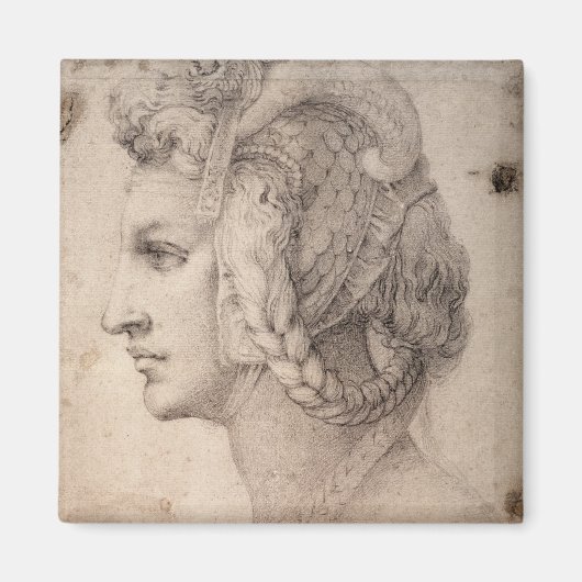 頭部の勉強 マグネット (正面)