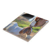 頭部の彼女のベビーに接吻している母ヤギ タイル (側面)