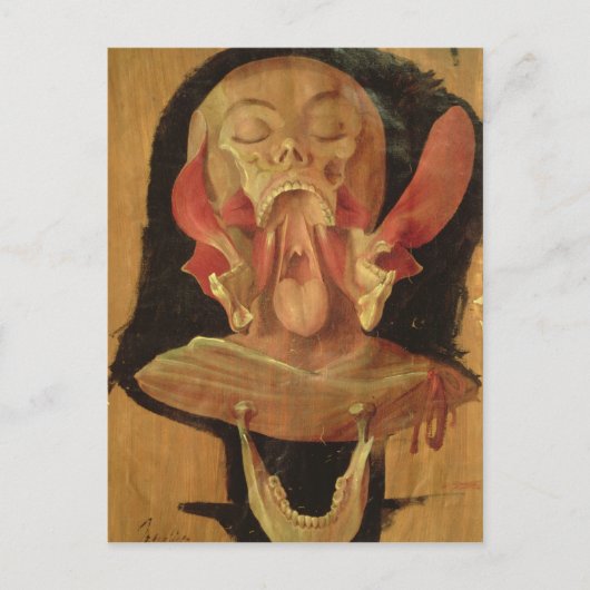 頭部の解剖図 ポストカード (正面)