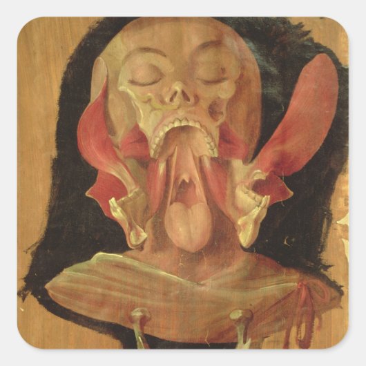 頭部の解剖学的スケッチ スクエアシール (正面)