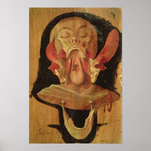 頭部の解剖学的スケッチ ポスター (正面)