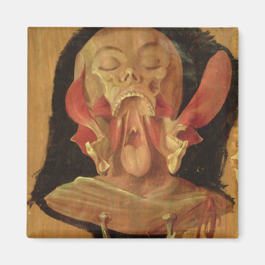 頭部の解剖学的スケッチ マグネット (正面)