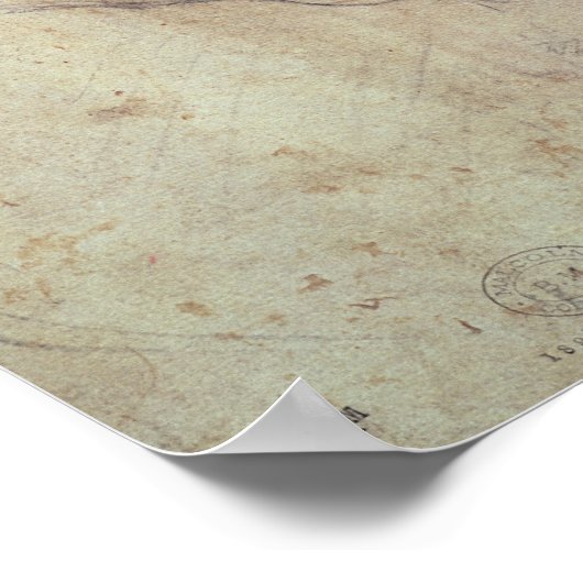 頭部勉強 ポスター (角)