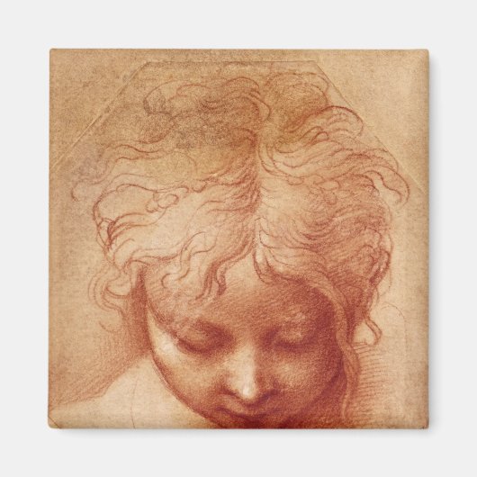 頭部勉強 マグネット (正面)