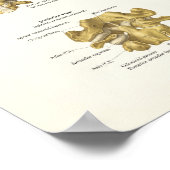 頸椎解剖学ポスター ポスター (角)