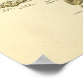 頸椎解剖学的脊髄骨プリント ポスター (角)