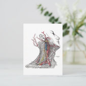 頸部の解剖学 ポストカード (スタンド正面)