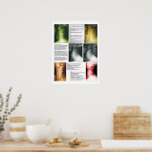 頸部スペインの脊髄変性ポスター ポスター (キッチン)