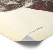 頸部解剖学プリント ポスター (角)