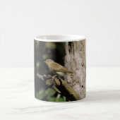 頸静脈葉 コーヒーマグカップ (中央)