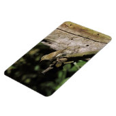 頸静脈葉 マグネット (左側)