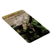 頸静脈葉 マグネット (右側)