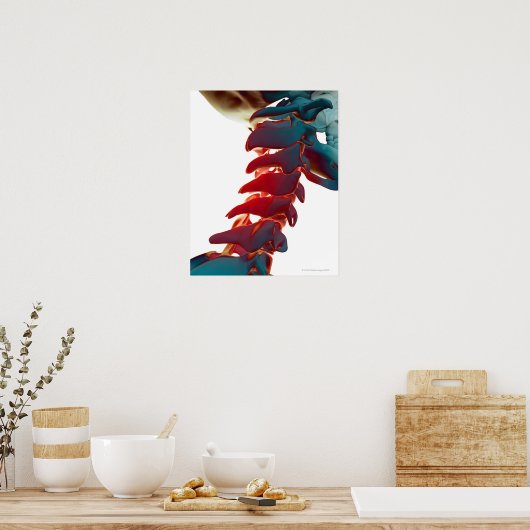 頸骨 ポスター (キッチン)