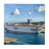 頻繁な訪問者 タイル (正面)