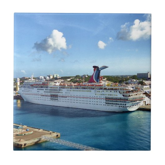 頻繁な訪問者 タイル (正面)