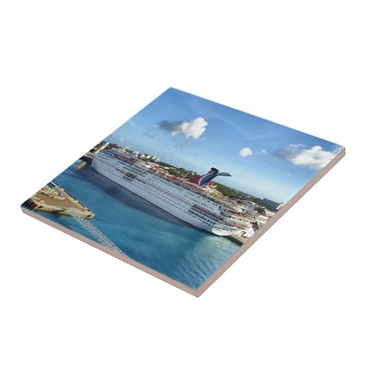 頻繁な訪問者 タイル (側面)