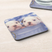 頻繁に英国のブルドッグ呼ばれるブルドッグ、 コースター (左側)