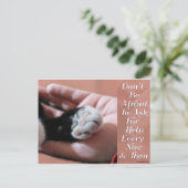 頼救済用 ポストカード (スタンド正面)