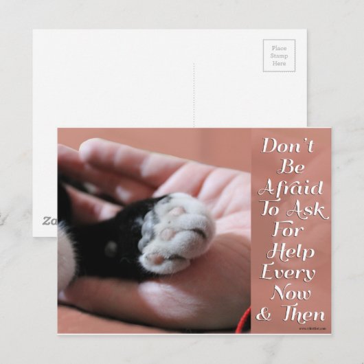 頼救済用 ポストカード (正面/裏面)