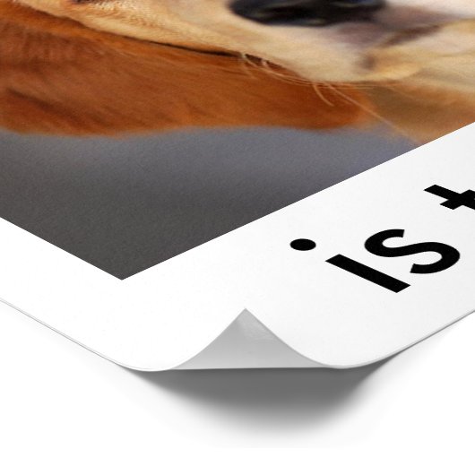 頼望み ポスター (角)