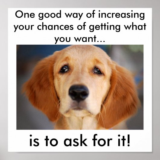 頼望み ポスター (正面)