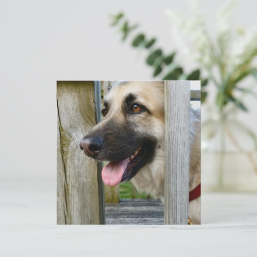 額入り カード (スタンド正面)