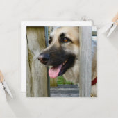 額入り カード (正面/裏面インサイチュ)