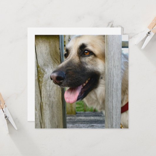 額入り カード (正面/裏面インサイチュ)