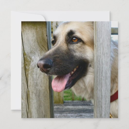 額入り カード (正面)