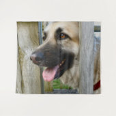 額入り タペストリー (正面(横))