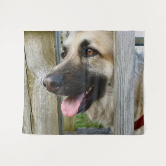 額入り タペストリー (正面(横))